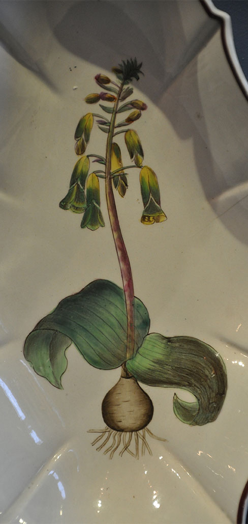 Botanical Pearlware Dish
