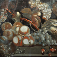 Still Life on Glass