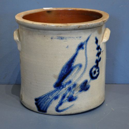 Bird Crock